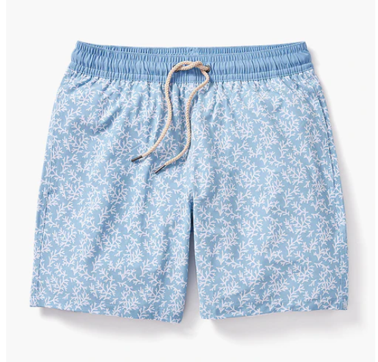 The Bayberry Trunk 7"