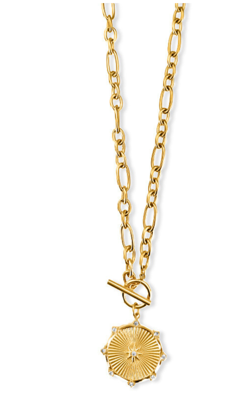 Briar Toggle Chain Medallion Necklace