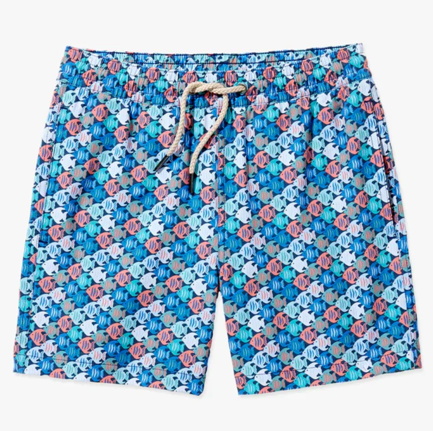 Lagoon Angelfish Kids Bayberry Trunk