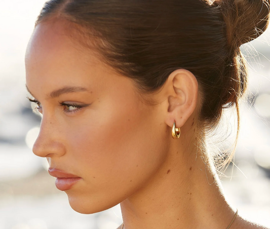 Drop Earrings