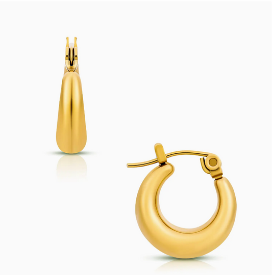 Anastasia Huggie Hoop Earring