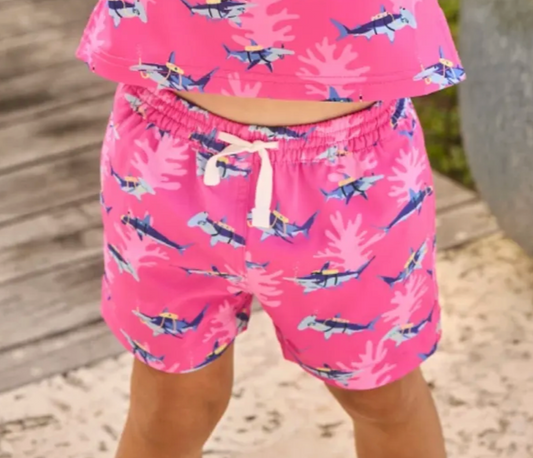 The Lil Great Pink Shark