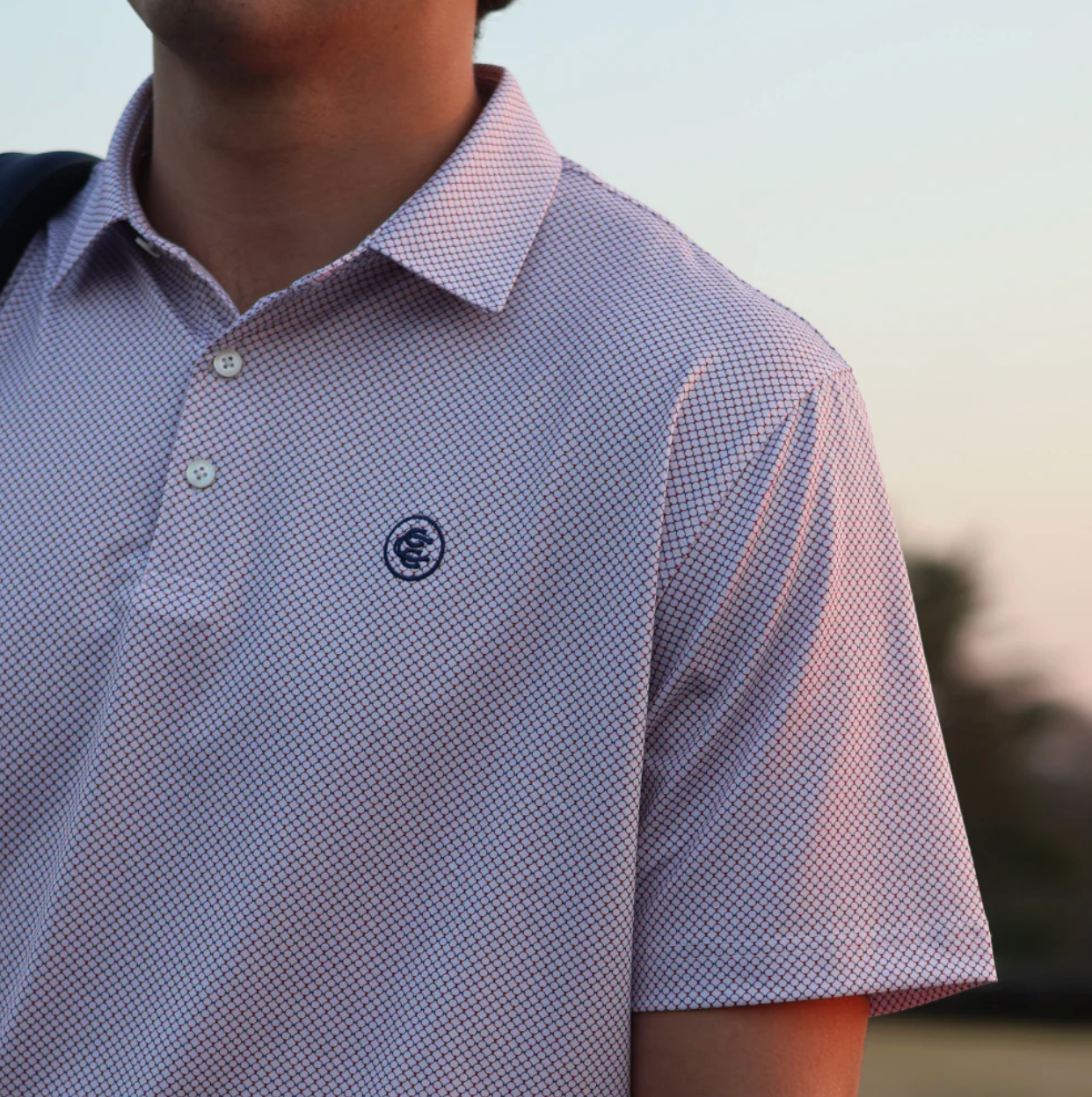 Dockside Polo